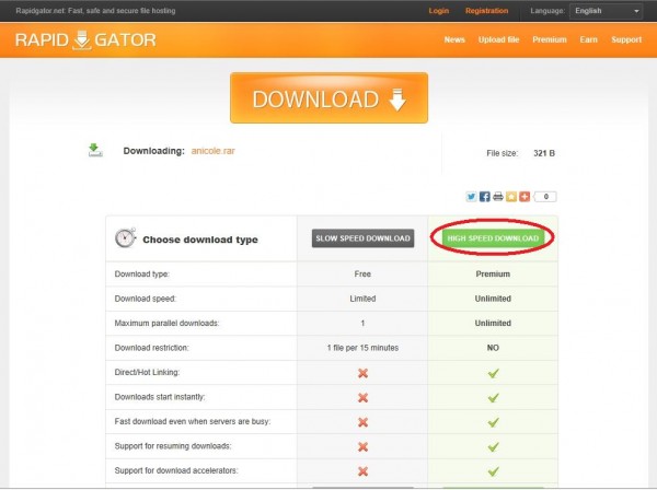 rapidgator05_zps8c124d99