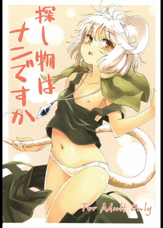 探し物はナンですか (東方)