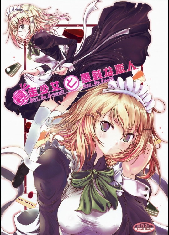 暴走少女と愚鈍な恋人