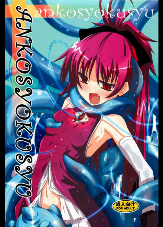 夜の勉強会 ankosyokusyu