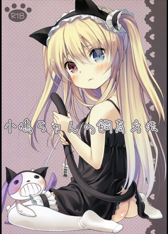 小鳩ちゃんの飼育方法_3