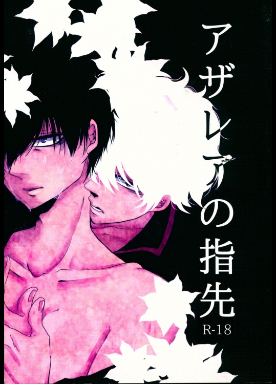 [MGO.69 (よち)] アザレアの指先 (銀魂)