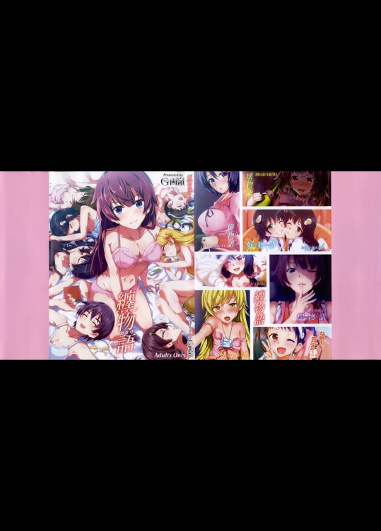 (C85) [Galley (ryoma)] 纏物語 (化物語)_2