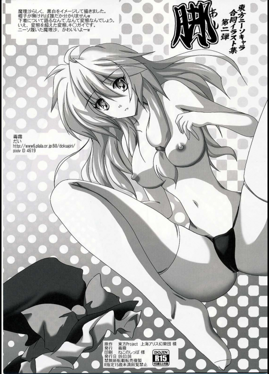 東方ニーソキャラ合同イラスト集 脚          