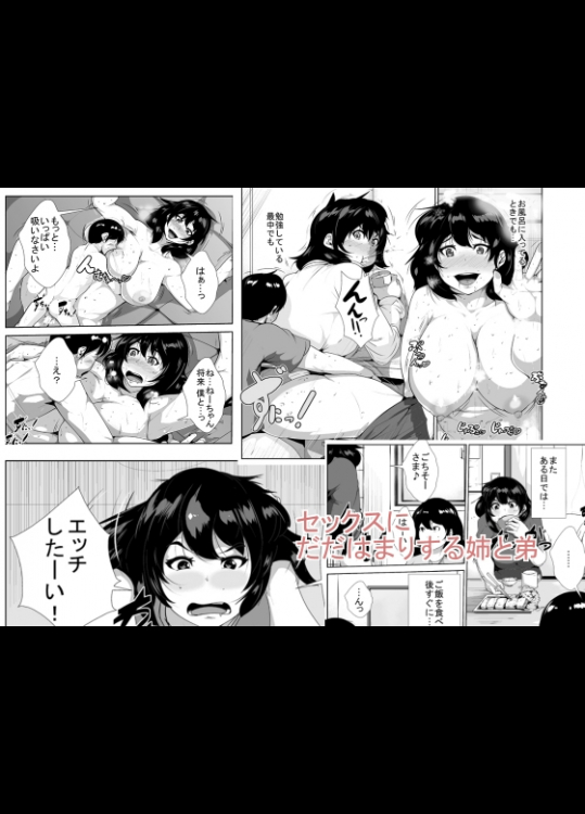 [AKYS本舗] セックスにだだはまりする姉と弟 [DL版]