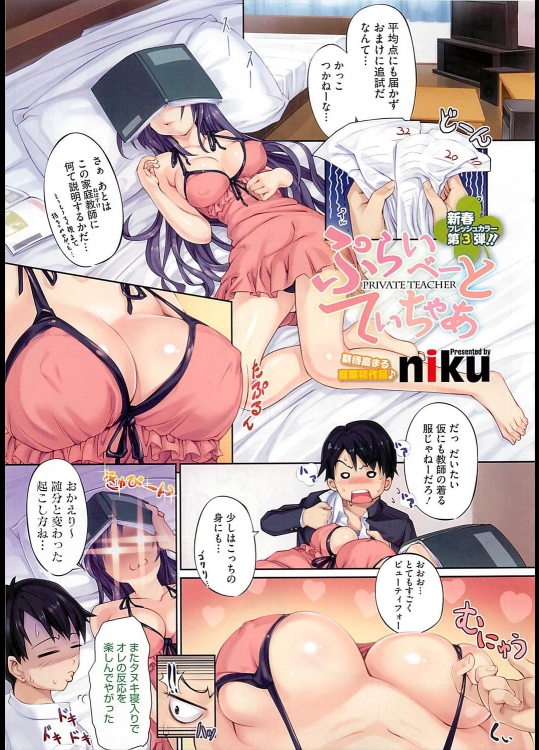 [niku] ぷらいべーと てぃちゃあ