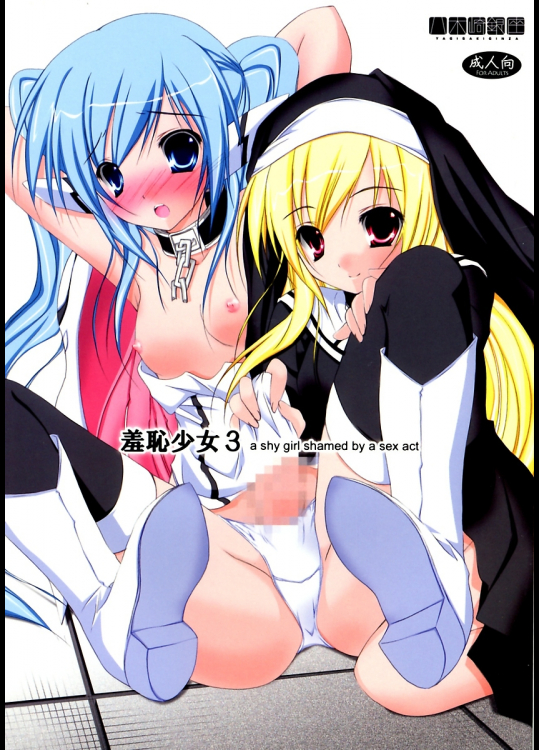 [八木崎銀座]羞恥少女3