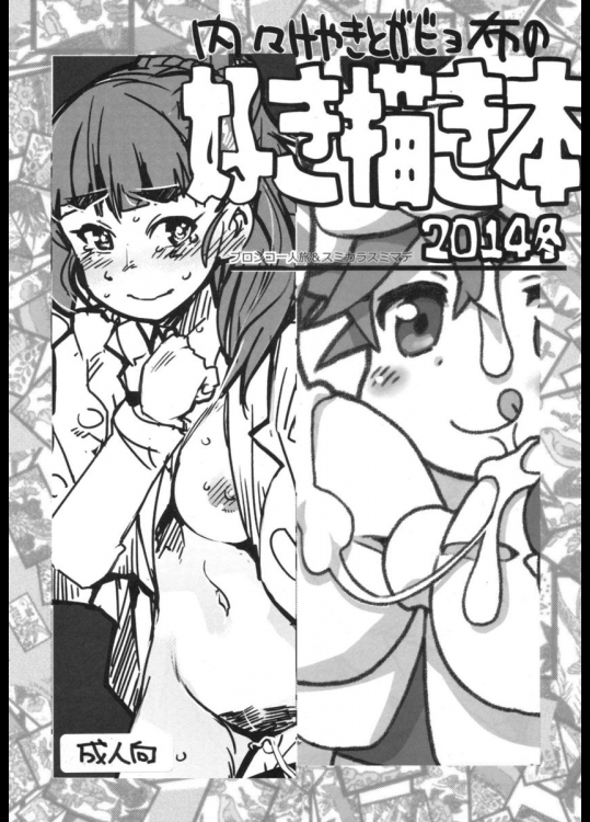 内々けやきとガビョ布の好き描き本2014冬