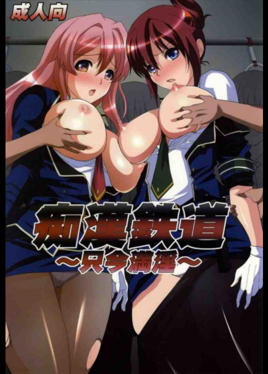 痴漢専用車両に入って輪姦されるあおいとはるか！