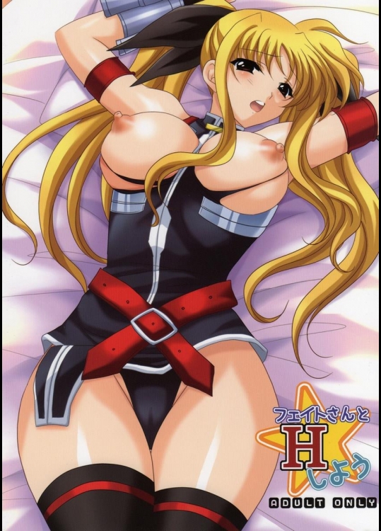 [みけこ堂] フェイトさんとHしよう (魔法少女リリカルなのは)