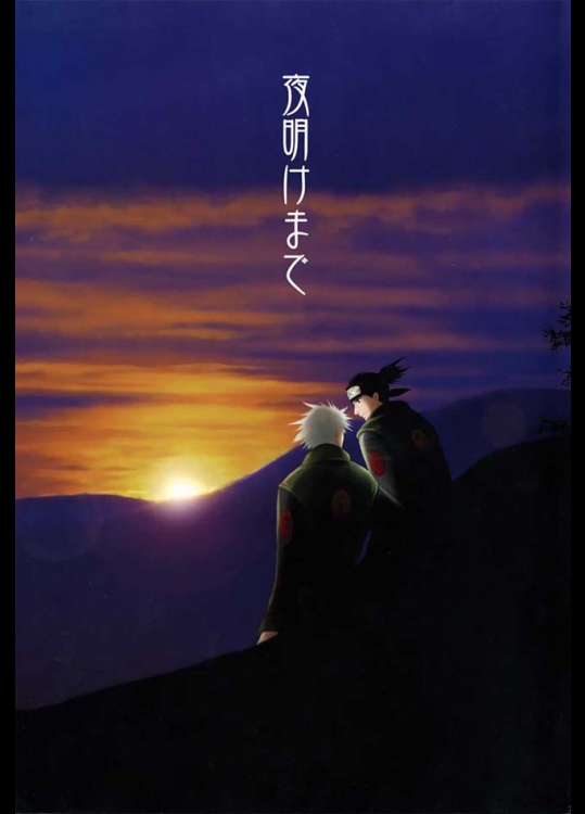 はじめっからいきなりエロシーン満載のＢＬ！カカシ×イルカのよくあるパターンではありますが、画力はかな