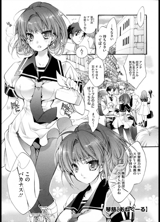 [琴慈] あねくーる