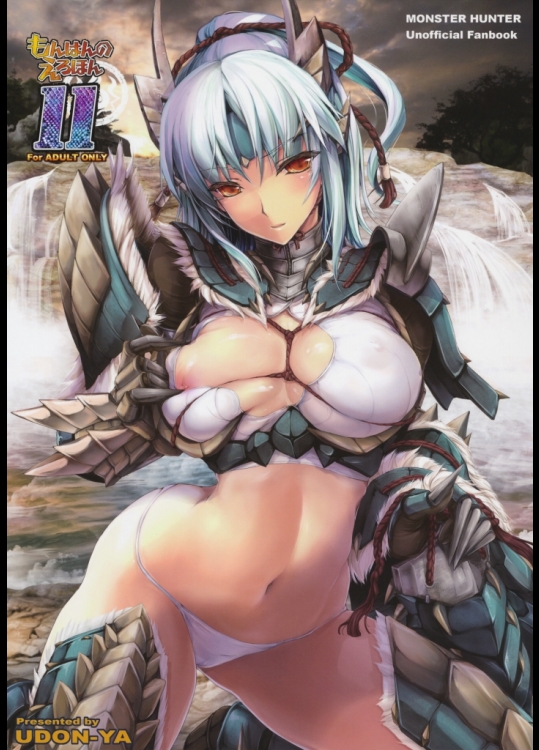 もんはんのえろほん11 (モンスターハンター)