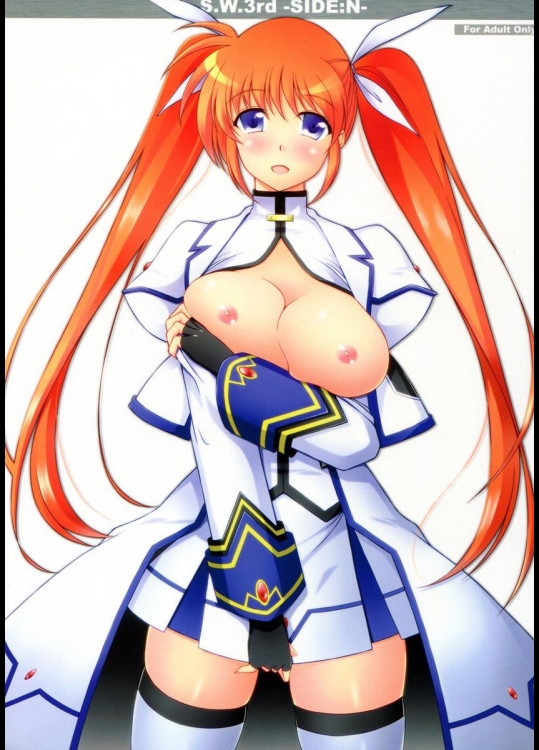 (C81) [ArcS (さくら悠)] S.W.3rd SIDE：N (魔法少女リリカルなのは)_2