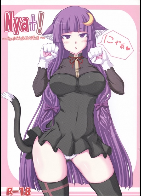 [るしえ堂(jema)] Nya+! (東方Project)