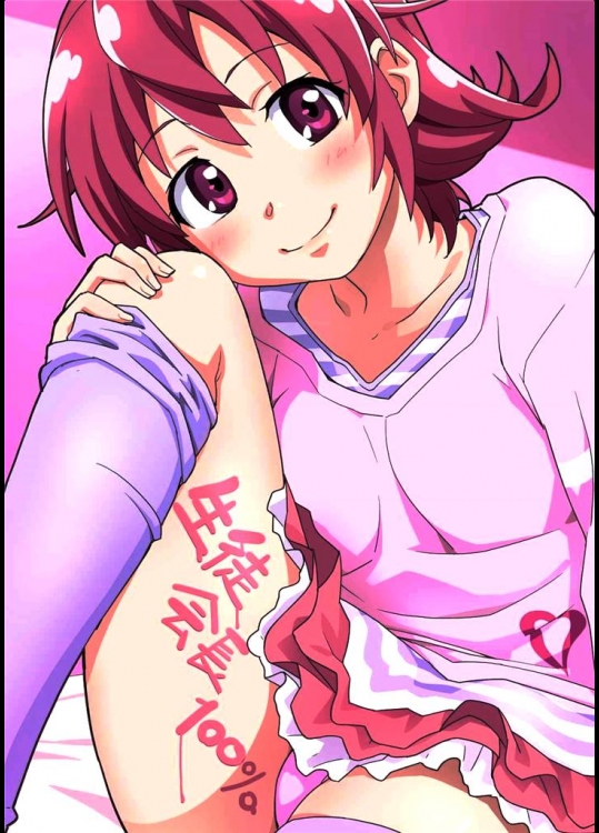 5295568[なにか屋 (鮭)] 生徒会長100% (ドキドキ！プリキュア)