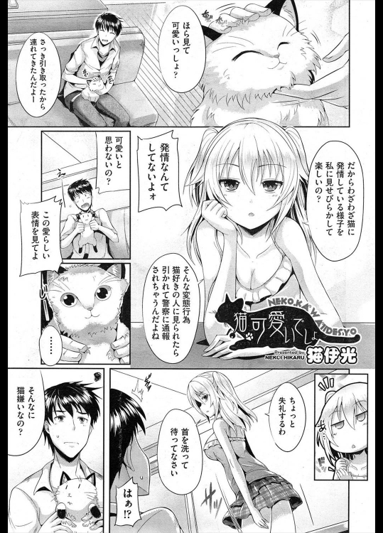 [猫伊光] 猫可愛いでしょ