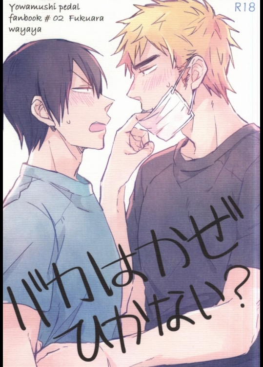 (C87) [ワヤ屋 (ワヤ)] バカはかぜひかない? (弱虫ペダル)