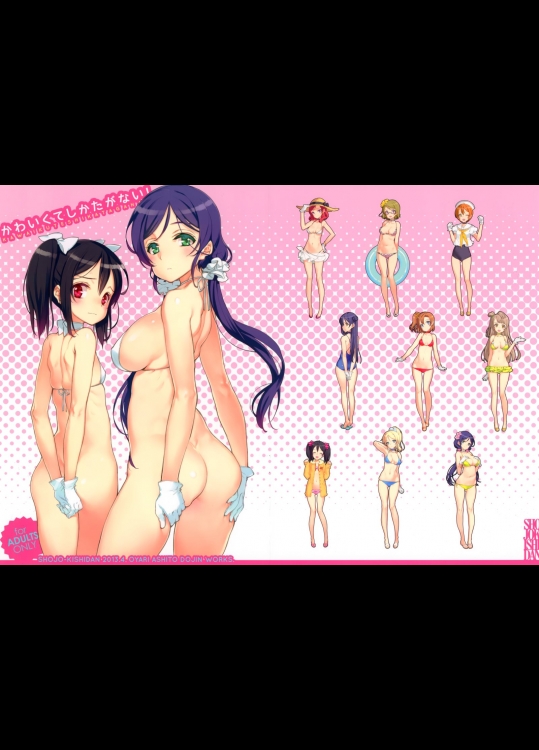 [少女騎士団(大槍葦人)] かわいくてしかたがない! (ラブライブ!)