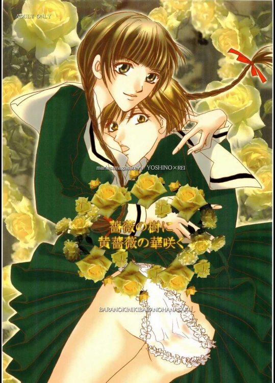 薔薇の樹に黄薔薇の華咲く          