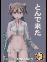 とんで来た (ストライクウィッチーズ)