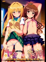 [Number2] ヤミと美柑のハーレムぷろじぇくと (ToLOVEる-とらぶる-)