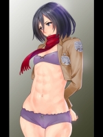 ミカサ・アッカーマンpart2　20枚