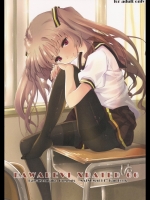 かわでび Xrated06_2