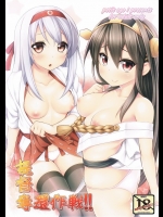 【巫女】艦隊これくしょん-艦これ-のエロ同人誌