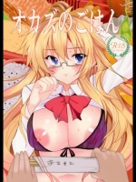 オカズのごはん_3