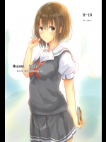 Megumi Story