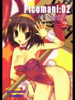 Picomani:02