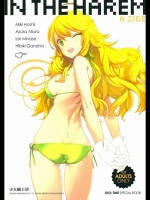 IN THE HAREM A SIDE_5