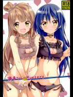 海未ちゃんからMystery