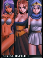 SEXIAL BATTLE D          