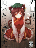 先日助けて頂いた黒猫です。