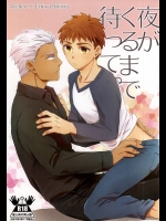 (C88) [DSSK (頼一)] 夜がくるまで待って。(Fate/stay night)