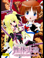 性体実験～引き裂かれたバリアジャケット～