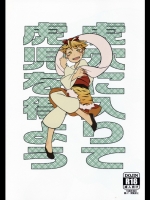 (例大祭12)[海の家はまなす(浜原義雄)]虎穴に入りて虎児を得よう(東方Project)