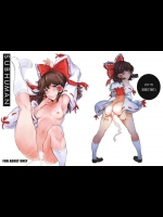 [笑顔で暴力 (mogg)] SUBHUMAN (東方Project)_2