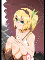 [ぶたコマ300g(あるミニウム)] 201502