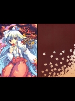 (紅楼夢4) [カタミチキップ (御影石材)] 紅葉狩り (東方Project)