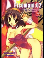 Picomani：02          