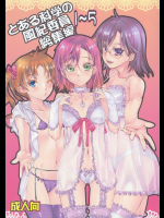 [ペンペン草くらぶ]とある科学の風紀委員総集編