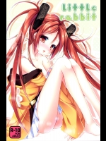 (SC64) [skeleton scape (Mikami Sasara)] little rabbit (Black Bullet)
