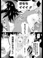 SCHAFT SECURITY SYSTEM