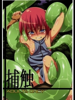 あるでんて 捕触1