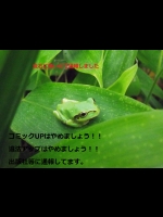 コミックの違法アップは止めましょう!