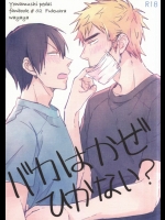 (C87) [ワヤ屋 (ワヤ)] バカはかぜひかない? (弱虫ペダル)