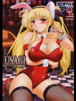 USAGI 魔法少女リリカルなのは同人誌